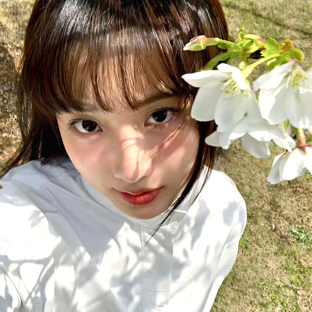 蜘蛛网
