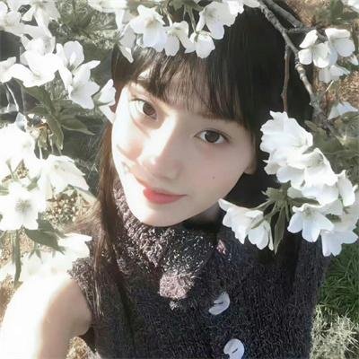 模范刑警第二季