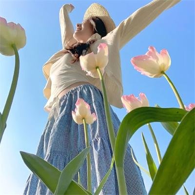 莺歌蝶恋